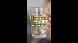 The memory of water