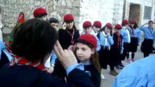 scout