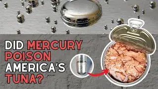 The Toxic Tuna: How Mercury Slipped Into America&rsquo;s Dinner Plates in the 1970s