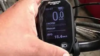 Shimano Steps