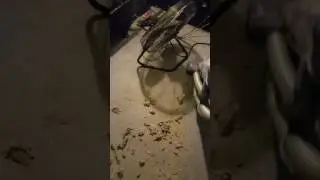 Shark Navigator nv22l- Big Mess Fail