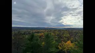 Canadian Fall color 2025 🍁 Algonquin Park