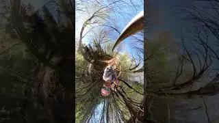 Kletterwald Ossiacher See Fly Line OverCapture #Shorts