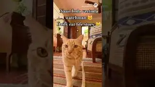 &ldquo;Vanakkam! Naan Inda Veetoda Watchman Poonai 😼 | Tamil Cat Vlog&rdquo; #aimeme #aivideo