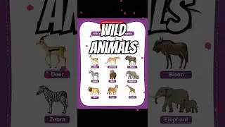 wild animal....  #generalknowledge   #information #education #short  #freeknowledge #freeinformation