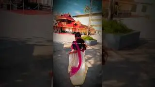 O Meri Laila Song | Status Video | Lyrics Video |#shorts #ytshorts #trending #songs