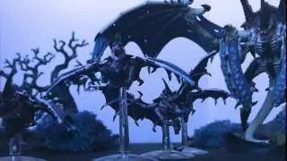 Forest Primeval