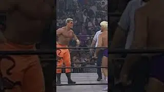 Sting's Special Move Made Fans Go Crazy