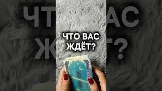 ЧТО ВАС ЖДЁТ?