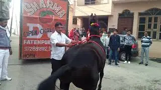 9811578551 G
