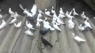 20160327 095344