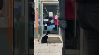 cat manager