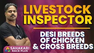 Desi Breeds of Chicken and Cross Breeds  || Livestock Inspector For admission contact 9497742944
