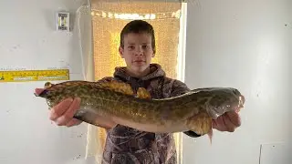 Easiest way to Clean An Eelpout| Cooking and Cleaning How to| Step By Step.