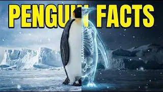 🐧 Penguin Facts That Will Blow Your Mind ❄️