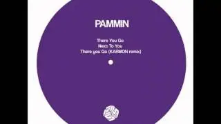 Pammin - There You Go (Karmon Remix)