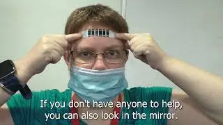 How To Use A Forehead Thermometer Strip