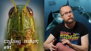 Czytamy naturę #91 | Ucho w kolanie - Manty znacząco machają - Debata ze sztuczną inteligencją