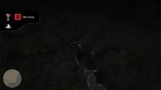 Finally, (Skin Deep) Trophy in RDR2