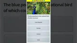 Multiple Choice Quiz Challenge 🌎