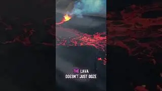 La Palma Volcano Eruption: 0 deaths and despite Massive destruction!