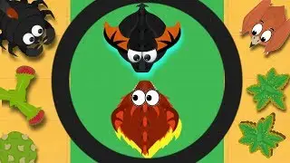 MOPE.IO HOW I TAKEOVER THE SERVER / BLACK DRAGON VS LAND MONSTER ARENA