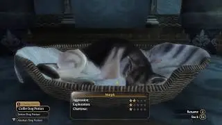 Как играть в Fable 3 на ПК в 2018 году с DLC