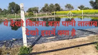 मौसमी का बाग और पानी का डेम ब्लॉग#viralvedio #like #subscribe