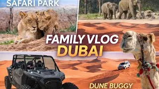#10 Dubai W&uuml;ste I Buggy fahren & Kamele I Dubai Safari Park Family Vlog