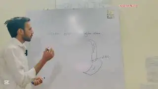 GERD/GASTROESOPHEGAL REFLEX DISEASE/GI SYSTEM 