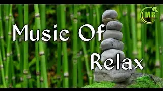 Relax Music ,amazon rainforest fire, amazon rain forest ,sleep music | music of relax