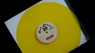 Dennis Hamilton Rainbow country
