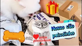 Compras pro nosso cachorrinho parte 2 Spitz Alem&atilde;o- Lulu da Pomerania An&atilde;o