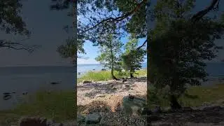 sea#forest#land#blogger#video#blogger#content#people#live#relax#people#love#europe#video#life
