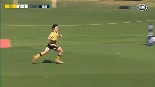 SYDNEY RAYS V FORCE HIGHLIGHTS