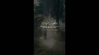 Tilawat quran #youtubeshorts #islamicstatus #allah #love #اكسبلور