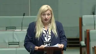 Excise Tariff Amendment Draught Beer Speech - 25 November 2025