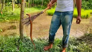 Unique fishing system | Primitive Fish Hunting  | Eel Fish Catching by Village people. (Part-1)