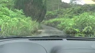 Hill Station moth trapping