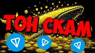 🚀 ТОN ГОТОВ к скаму &mdash; последние дни перед обнулением!