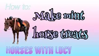 Minty horse treats D.I.Y