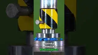 kemampuan ecolocation kalelawar😱 #feedsort #faktaunik #satisfying
