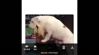 Snapchat shoutout extrem !! Snapchat push extrem!!(no clickbait)Link in description