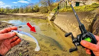 Cet étang se vide et dévoile son potentiel, la pêche inoubliable entre potes !!