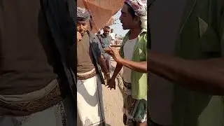 ١١ يناير ٢٠٢٦