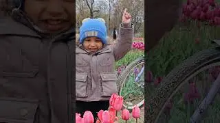 #Tulipfarm#daltonfarm#NJ#2025