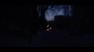 В ХАРЬКОВЕ ОПЯТЬ БЛЭКАУТ 😭 23 января 2026 г. Добрый Вечер 🌃🙏🙏🙏