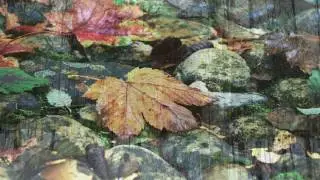 March for Military Band `Zapfenstreich` [`The Tattoo`] WoO 20 - Ludwig van Beethoven
