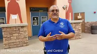Dogs Playing for Life's 200th Shelter Celebration!
