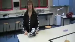 Zoek Brugpieper